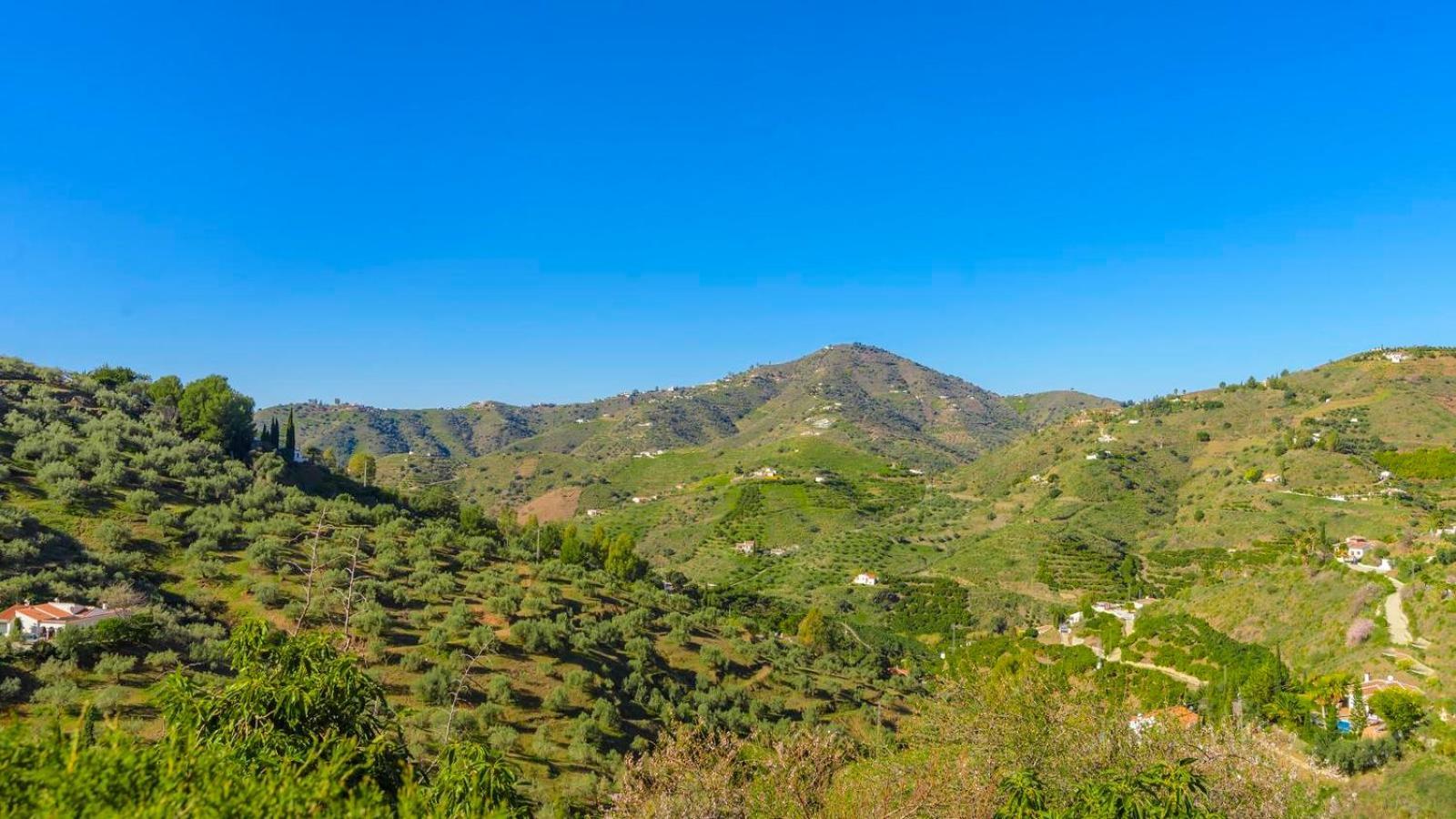 Villa Las Palmeras De Torrox By Ruralidays Kültér fotó